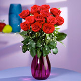 Docena de Rosas Rojas Premium