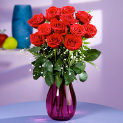 R-034: Docena de Rosas Rojas Premium
